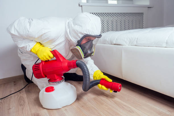 Best Pest Removal Services  in Millville, UT