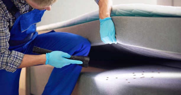 Best Mosquito Control Services  in Millville, UT