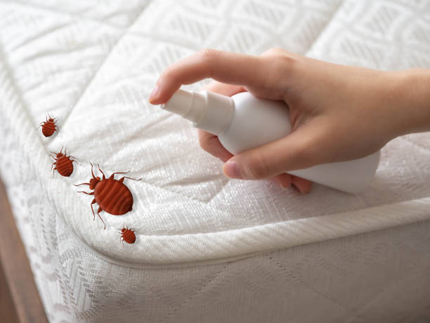 Best Pest Inspection Near Me  in Millville, UT