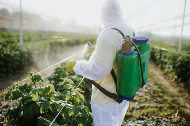 Best Best Pest Control Companies  in Millville, UT